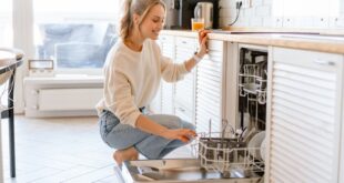 بررسی ویژگی های ماشین ظرفشویی و اهمیت آن ها